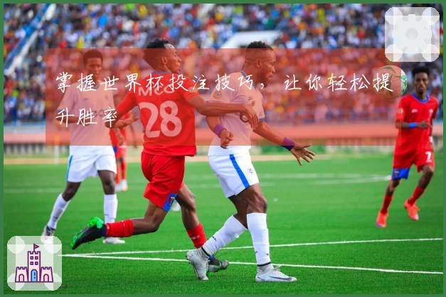 掌握世界杯投注技巧，让你轻松提升胜率