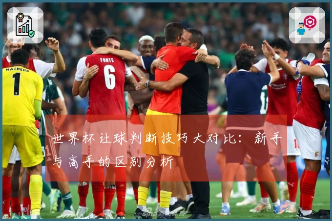 世界杯让球判断技巧大对比：新手与高手的区别分析