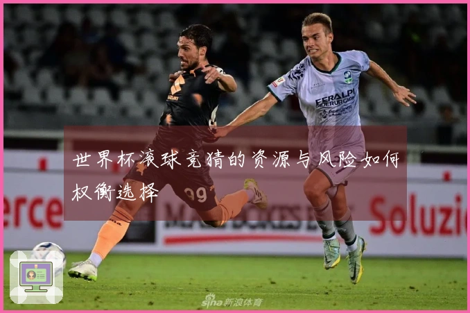 世界杯滚球竞猜的资源与风险如何权衡选择