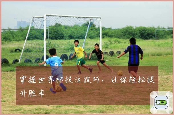 掌握世界杯投注技巧，让你轻松提升胜率